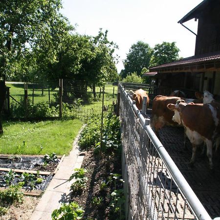 Kirmeier Hof Villa Bad Endorf Kültér fotó